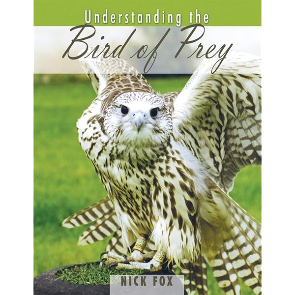 Training Birds of Prey: Amazon.co.uk: Parry-Jones, Jemima